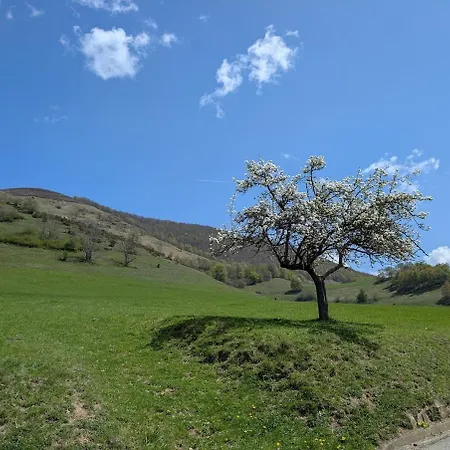 Prázdninový dům Charmante Maison De Montagne *